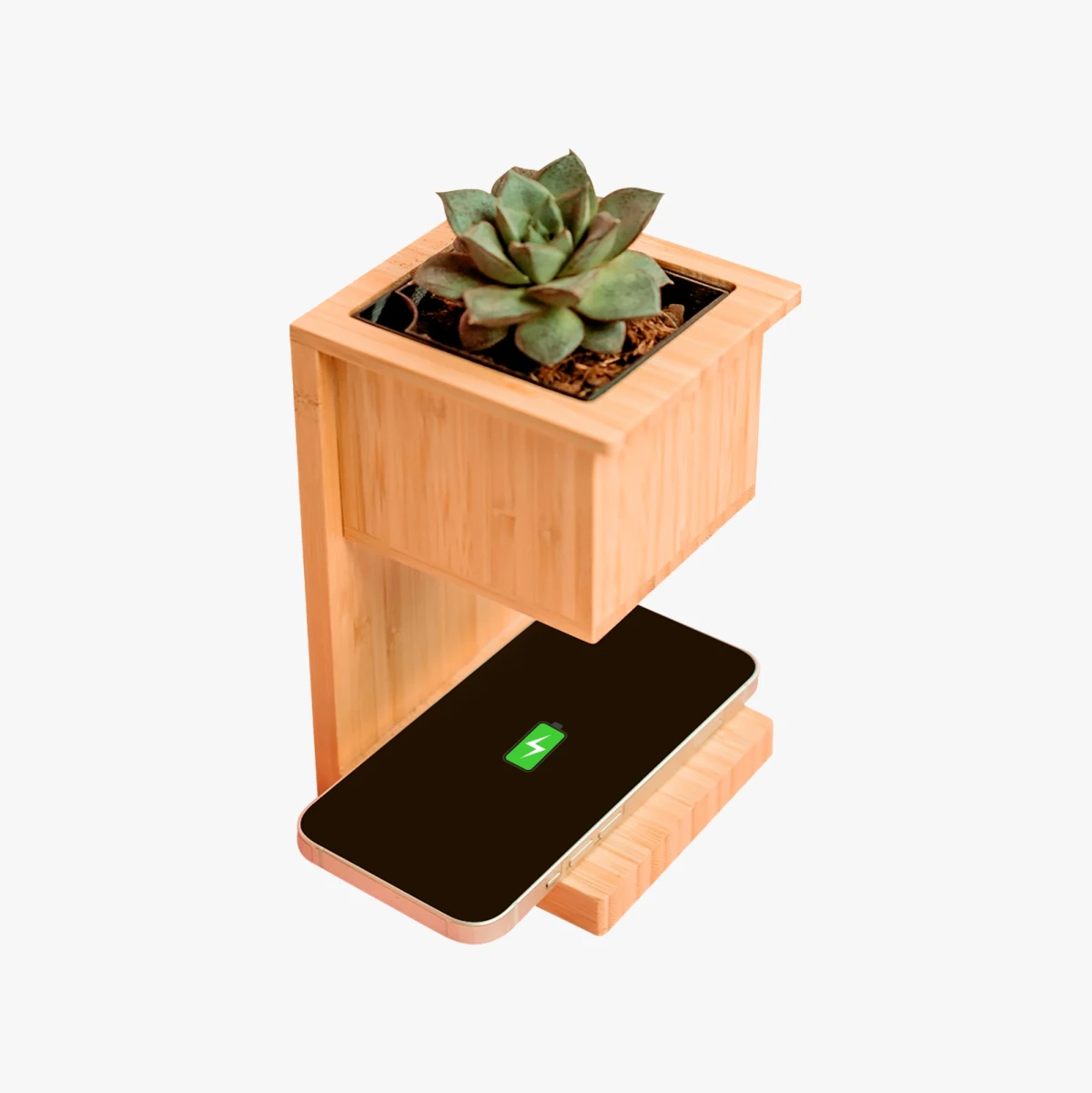 Alder Wireless Charger with Planter